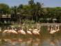 Entrada do Zool�gico de Buenos Aires, com pelicanos. Foto: Ros�ngela Espinossi/Especial para Terra