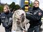 A pol�cia alem� removeu pacificamente manifestantes anticapitalistas. Foto: AP