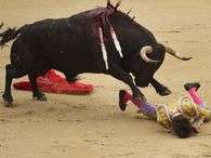 O toureiro franc�s Sebasti�n Castella ficou ferido depois de ser atingido na virilha por um animal durante a primeira apresenta��o do dia na Feira de San Isidro, em Madri. Mesmo sangrando, ele permaneceu na arena at� conseguir abater o touro. Foto: AP