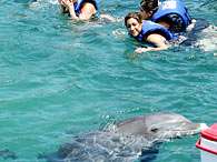 Turistas nadam com golfinhos em parque ecol�gico certificado. Foto: EFE