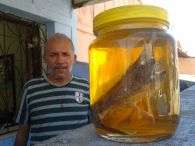 O peixe estranho foi encontrado no litoral de Fortaleza e ser� levado a um laborat�rio para identifica��o. Foto: Omar Jacob/Especial para Terra
