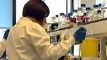 Cientistas modificam célula e promovem inseminação polêmica