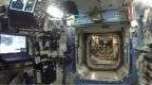 Não indicado para claustrofóbicos: um tour pelo interior da Estação Espacial Internacional