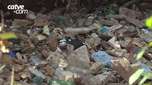 Câmara discute descarte irregular de lixo no rio Cascavel nesta terça-feira (28)