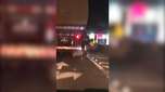 VÍDEO flagra ciclista transitando no 'vácuo' de carreta na BR-277 em Cascavel