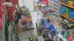 Cachorro é flagrado furtando petisco em pet shop; assista