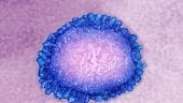 Coronavírus: o que é uma pandemia e por que o atual surto ainda não é uma