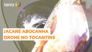 Jacar&eacute; abocanha drone avaliado em R$ 7 mil no Tocantins