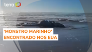 Suposto ‘monstro marinho’ é encontrado em decomposição em praia dos EUA