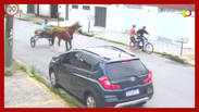 Homem pula de charrete e rouba ciclista em Guarujá (SP)