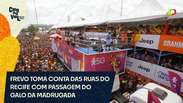 Frevo toma conta das ruas do Recife com passagem do Galo da Madrugada