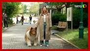 Homem que 'virou' cachorro faz primeiro passeio no Japão