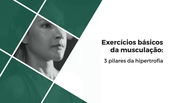 Exercícios básicos da musculação: 3 pilares da hipertrofia