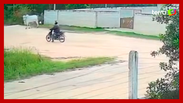 Motociclista &eacute; atacado por boi quando passava por estrada no Esp&iacute;rito Santo