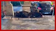 Temporal leva leões-marinhos para o asfalto em cidade do Rio Grande do Sul