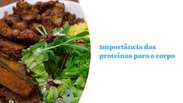 Importance of proteins for the organism