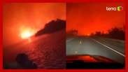 Pantanal em chamas: incêndios atingem vegetação e acendem alerta