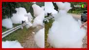Foam bubbles invade the highway in Santa Catarina