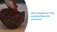 Chia: discover the benefits of the seed