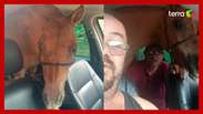 A man puts the mare in a car and the scene intrigues Internet users