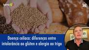 Doença celíaca: diferenças entre intolerância ao glúten e alergia ao trigo