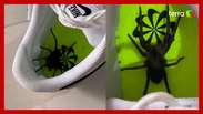 Jovem viraliza ao encontrar aranha após calçar tênis: 'Vi que ficou diferente'