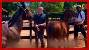BBB 24: Matteus é presenteado com dois cavalos pelo diretor Jayme Monjardim