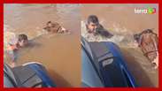 Vice-prefeito de cidade gaúcha ajuda a resgatar cavalo de enchente em Canoas (RS)