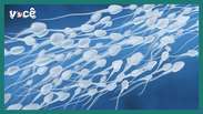 Does touching an object with sperm make you pregnant? 