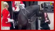 Cavalo da Guarda Real morde turista em Londres