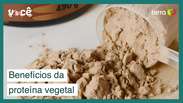 5 Benefits of Including Plant-Based Proteins in Your Menu