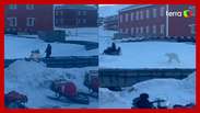 Homem escapa por pouco de ataque de urso polar na Noruega
