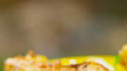 Corn Ribs | Tastemade Apresenta