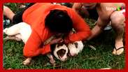 Lutador de muay thai consegue imobilizar dois cães da raça pitbull após ser atacado em MS
