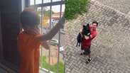 Menino internado recebe visita surpresa de sua cadela em frente a hospital