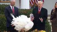 Trump concede perdão presidencial a peru antes do Dia de Ação de Graças