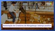 Associa&ccedil;&atilde;o Brasileira de Criadores de Cavalos da Ra&ccedil;a Mangalarga completa o ano com balan&ccedil;o positivo