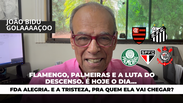 Flamengo, Palmeiras e a luta do descenso. É hoje o dia... da alegria. E a tristeza, pra quem ela vai chegar?
