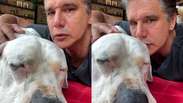 Márcio Garcia se emociona ao revelar câncer do cachorro e pede ajuda aos seguidores
