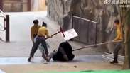 Urso ataca treinador durante apresentação em zoológico na China