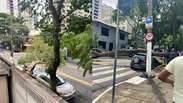 Ventania em São Paulo derruba árvores, fecha parques e deixa milhões sem energia