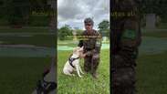 Sargento adota cadela ap&oacute;s salv&aacute;-la de ataque de sucuri em batalh&atilde;o no Par&aacute; #shorts