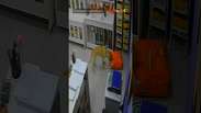 Cadela 'invade' pet shop, abocanha saco de ra&ccedil;&atilde;o e foge antes de dona impedir 'furto' no RJ #shorts