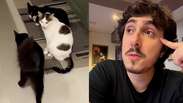 Felipe Castanhari relata perda de pet envenenado e faz alerta: &lsquo;Era um gatinho saud&aacute;vel&rsquo;