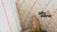 Gatos t&ecirc;m signo? Veja o que a astrologia revela sobre seu bichano