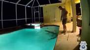 V&iacute;deo registra momento em que jacar&eacute; &eacute; retirado de piscina em resid&ecirc;ncia nos EUA; veja