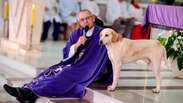 Cachorro caramelo passa a frequentar missas no Paran&aacute; e viraliza nas redes sociais