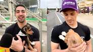 Jo&atilde;ozinho? Pilotos adotam e d&atilde;o nome a c&atilde;ezinhos durante abertura da Stock Car em Interlagos