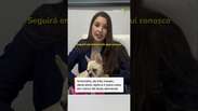 Cachorrinha que ingeriu crack recebe alta da UTI e ser&aacute; adotada por PM que fez o resgate #shorts