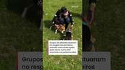 Cachorro resgatado de canil com hist&oacute;rico de maus-tratos tem rea&ccedil;&atilde;o emocionante ao ver o mar #shorts